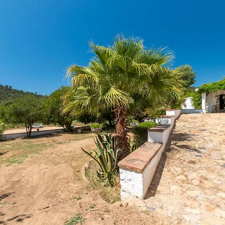 Masía Garriga, Avia